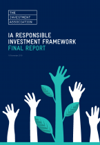 Front cover image for IA SRI Framework